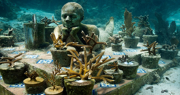 Snorkel in the Cancun Underwater Museum 